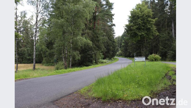 Am Dienstag muss die Rothenbürger Straße aufgrund von Holzfällarbeiten teilweise gesperrt werden. Bild: Stadt Tirschenreuth/exb
