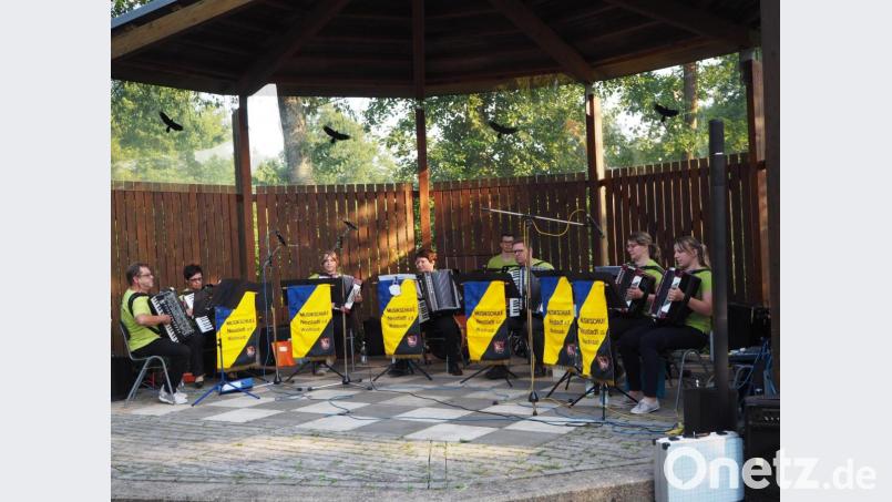 Die Akkordeongruppe der Musikschule zeigte in bewährter Weise ihr Können Bild: krb
