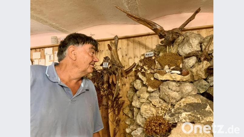 Der Adler ist Bernd Donhausers wichtigstes Stück in seiner Sammlung, es ist eines seiner ersten Tiere. Ein Lieblingsstück hat der Museumsleiter jedoch nicht. Bild: Eichl