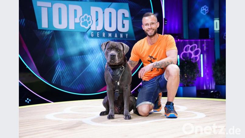 Wird Pünktchen &quot;der beste Hund Deutschlands&quot;, wie RTL seine neue Sendung anpreist? Herrchen Florian Büttner hat mit dem Cane Corso jedenfalls fleißig für den Wettbewerb trainiert. Bild: TVNOW/Stefan Gregorowius