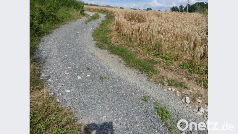 Überwiegend zur Instandsetzung ausgewaschener Flurwege in Hanglagen setzt die Jagdgenossenschaft 2020 erhebliche Mittel ein. Bild: rn