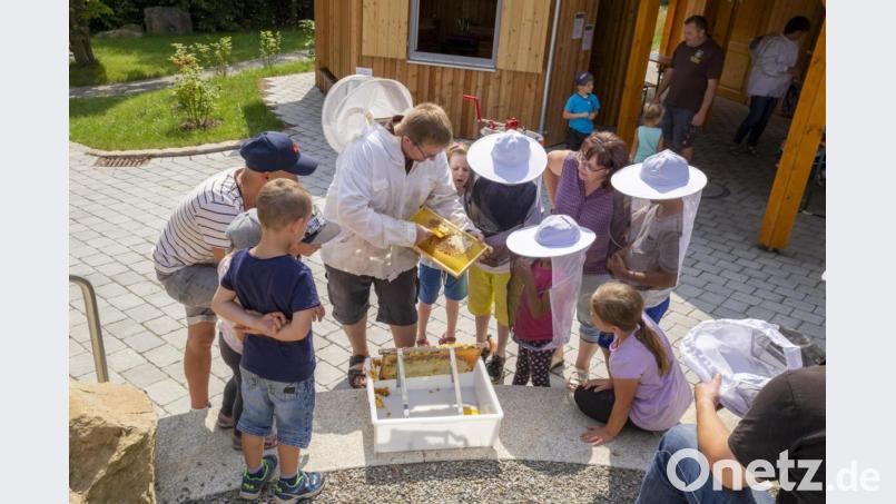 Auf ein großes Interesse am Waidhauser Ferienprogramm hoffen nicht nur die Imker wieder mit ihrem Angebot, wie im Jahr 2019. Archivbild: fjo