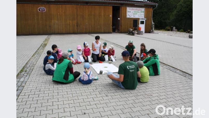 Kein Unkraut, sondern wirksame Heilpflanzen sind Wildkräuter wie Schafgarbe oder Gänsefußkraut. Wofür sie gut sein können, erklärte Liane Scharf (Mitte) den Mädchen und Buben aus dem Trabitzer Kindergarten. Bild: bjp