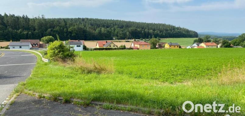Vom Fichtenbühl aus gesehen: Zwischen dem bisherigen Bergelshofer Baugebiet und dem Standort der Bereitschaftspolizei (Zufahrt links) sollen 16 neue Bauplätze (Feld in der Bildmitte) entstehen. Bild: Wilhelm Amann