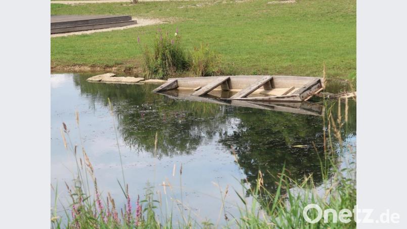 Ein trauriges Dasein fristet das Vilsecker Scheef, ein Zeugnis alter Bootsbaukunst, in den Vilsauen. Bild: rha