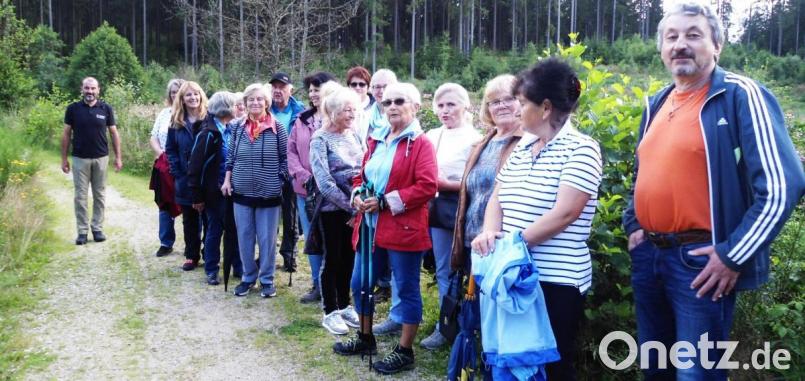 20 Wanderer erlebten mit FGV-Obmann Stefan Jungnickl eine herrliche Abendwanderung ins Gregnitztal zum Biberstausee. Bild: ld