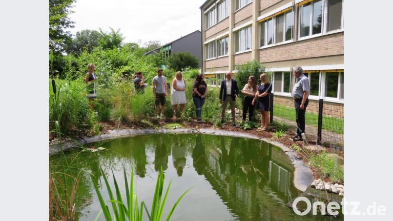 Beim Teichrundgang erklärten die Schülervertreterinnen Sonja Klotz, Maria Pröls, Verena Bauer und Annamarie Günter den Gästen die Pflanzen und freuten sich über das gelungen Projekt. Bild: adj