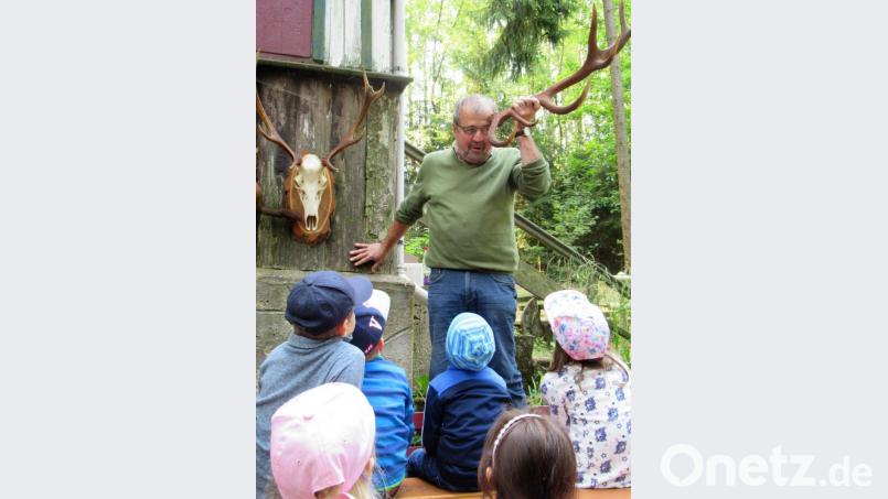 Stadtförster Klaus Ferber konnte allerhand über den Wald berichten Bild: stg