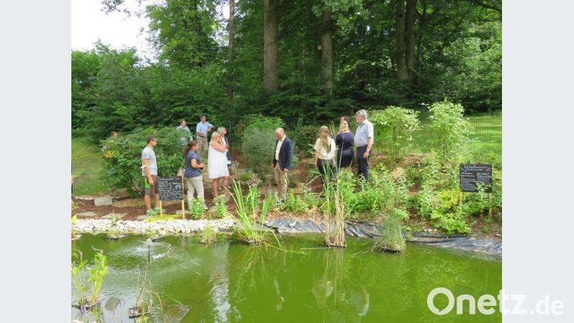 Beim Teichrundgang erklärten die Schülervertreterinnen Sonja Klotz, Maria Pröls, Verena Bauer und Annamarie Günter den Gästen die Pflanzen und freuten sich über das gelungen Projekt. Bild: adj