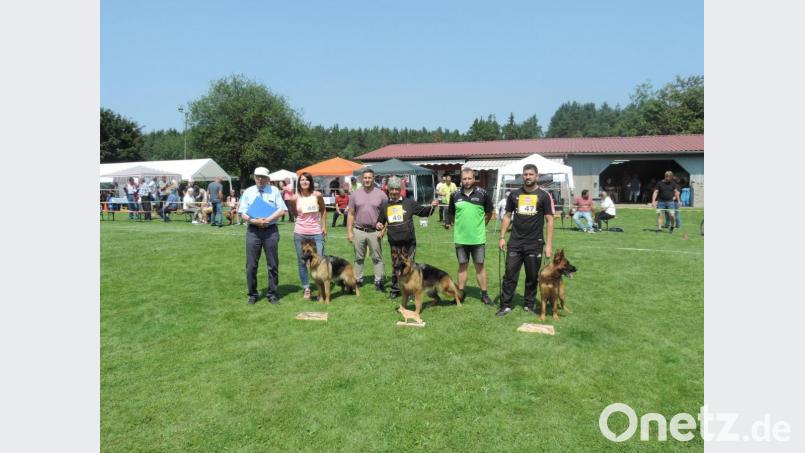 Helmut Buß, Vizepräsident des Deutschen Schäferhundeverbandes, Bürgermeister Marcus Gradl und Ortsvorsitzender Michel Siegler (von links) gesellen sich zu den Hunden &quot;Erta de Casa Myco&quot;, &quot;Xanadu von Aurelius&quot; und &quot;Princesse du Domaine du Parc&quot; (von links). Bild: rn