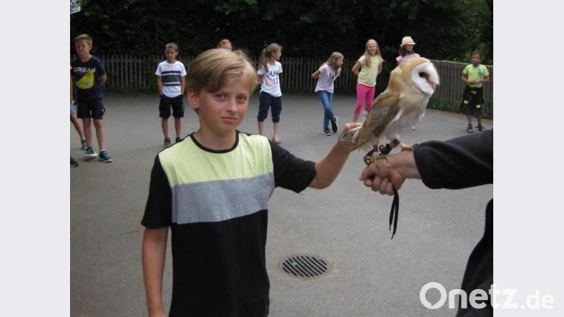Die Schleiereule von Birgit Freundl ist ziemlich zutraulich. Viele Kinder trauten sich, den großen Vogel zu streicheln. Bild: Marco Stobitzer/exb