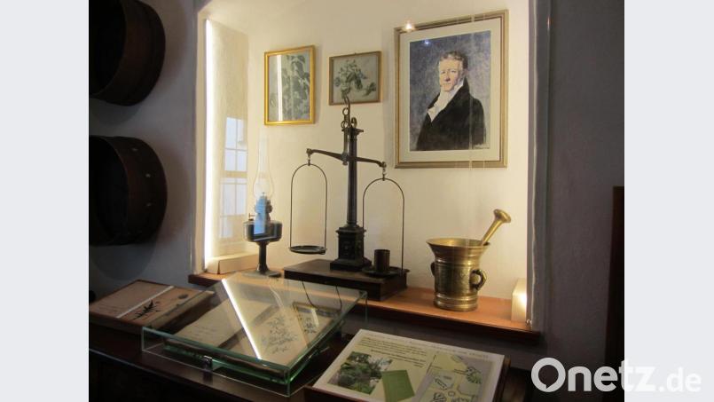 Das wertvolle Schießl-Herbarium bleibt unter Glas. Dafür lädt eine Replika zum Blättern und Bestaunen ein. Bild: aks