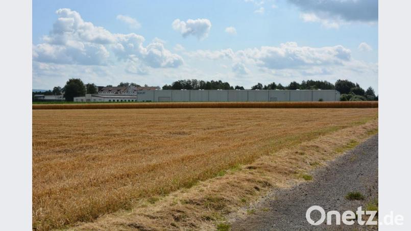 Derzeit wächst hier noch Getreide und Mais. Bald soll an der Straße nach Oberteich das neue Schott-Logistikzentrum entstehen. Im Hintergrund ist das bestehende, wesentlich kleinere Logistikzentrum zu sehen. Bild: jr