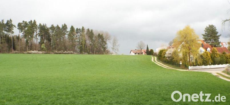 Bei der Bürgerversammlung in Kümmersbruck ging es um ein geplantes Neubaugebiet in Theuern (Bild). Hier sollen elf Parzellen auf 1,8 Hektar entstehen. Das gefällt nicht jedem. Bild: e