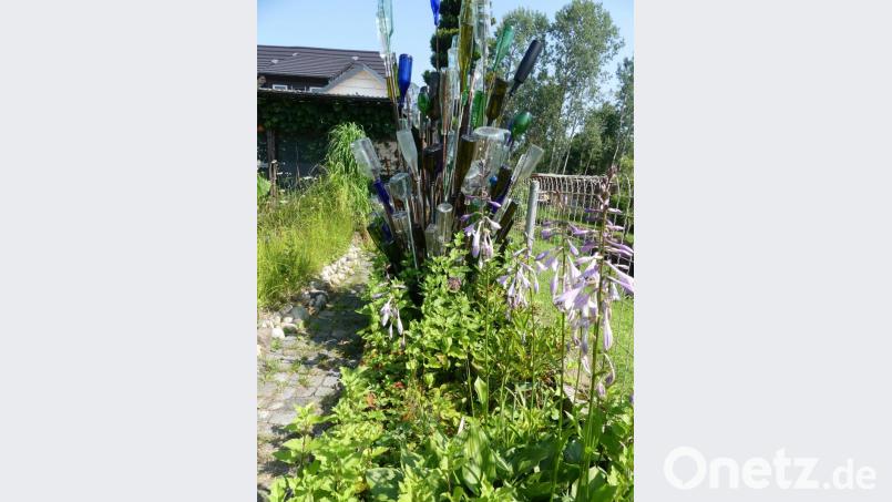 Ein "Flaschenbaum" als besonderer Blickfang. Bild: rn