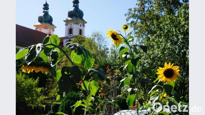 Das Klosterdorf Speinshart soll blühen. Zur Sicherung der Internationalen Begegnungssstätte wünscht sich der Förderverein ein Wissenschaftszentrum. Bild: do