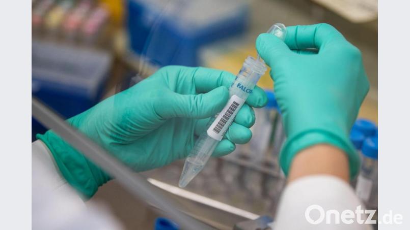 Symbolbild. Bild: Marijan Murat/dpa