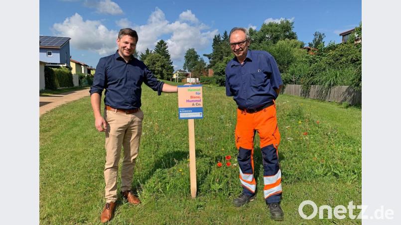 Bürgermeister Peter Neumeier (links) brachte zusammen mit Bauhofleiter Peter Pleier ein Informationsschild zum Start des neuen Projekts „Blühwiesen“ an. Bild: Tobias Reitmeier/exb