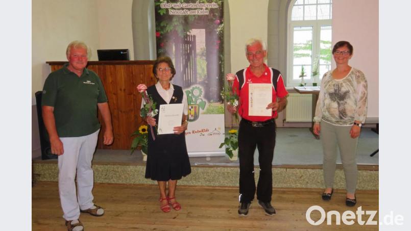 Die Ehrung für eine langjährige Mitgliedschaft war einer der Tagesordnungspunkte bei der Jahreshauptversammlung des Obst- und Gartenbauvereins. Die Kreisfachberaterin Maria Treiber (rechts) und der Vorsitzende André Dietrich (links) ehrten Alfons Foitzik (Zweiter von rechts) für seine 40-jährige Mitgliedschaft und Lina Malik (Zweite von links) für 50 Jahre Treue zum Verein. Bild: ow