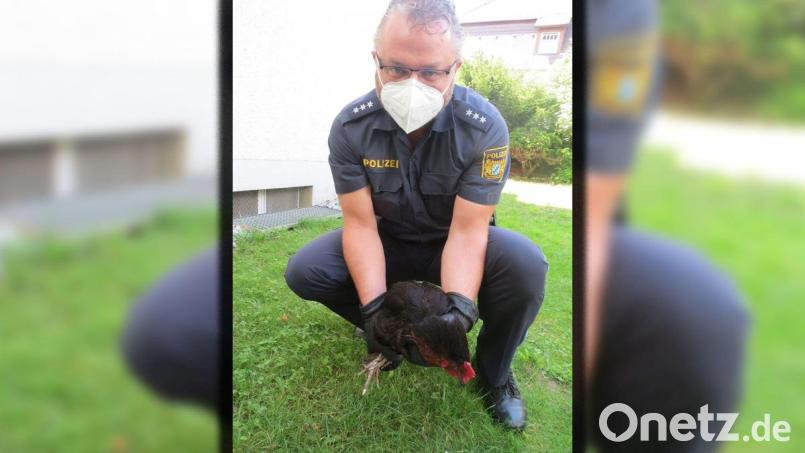 Klingt komisch, ist aber so: Polizeihauptkommissar Michael Kaschny lässt die Beute frei. Bild: Polizeiinspektion Sulzbach-Rosenberg