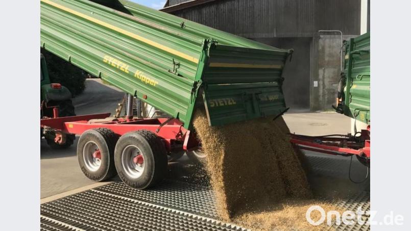 Direkt vom Kipper weg wird das Getreide gewogen, gereinigt und in eines der fünf neuen Silos eingeblasen. Bild: lei