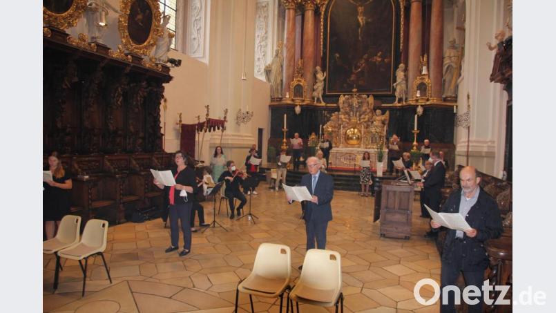 Der Basilikachor, ein Streicherensemble sowie Kirchenmusikdirektor Andreas Sagstetter an der mobilen Orgel und Franz Ballon an der Basilikaorgel umrahmten den Festgottesdienst musikalisch. Bild: kro