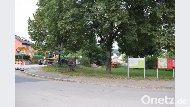 Die Grünfläche in der Paul-Schiedt_Straße soll in dieser Form erhalten und als Blühfläche aufgewertet werden. Bild: bnr