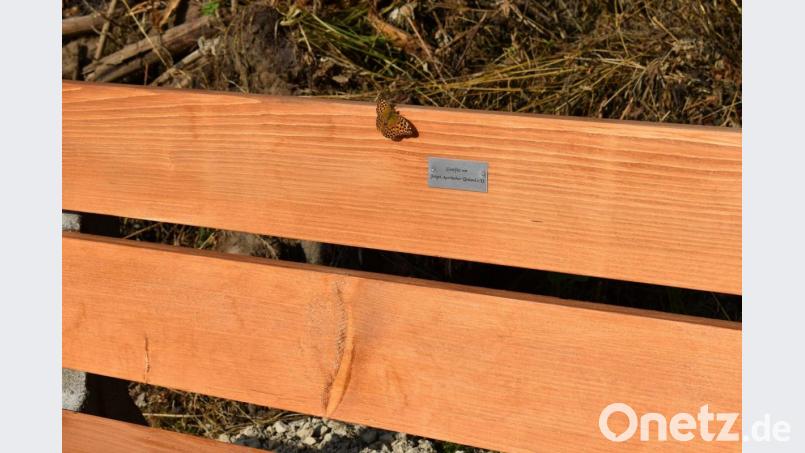 Ein Schmetterling nimmt als Gast auf der Sitzbank Platz. Deren Spender, das JUnge Auerbacher Umland, hat sich auf einer Plakette verewigt. Bild: sck