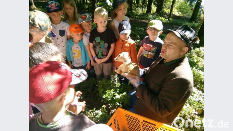 Der Jäger erklärt den Kindern, wie kleine Rehkitze gerettet werden. Bild: Andrea Heuser/exb