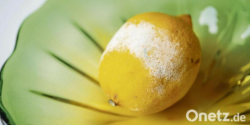 Egal, ob Bio oder konventionell – wenn die Zitrone eine schimmelige Stelle hat, sollte die ganze Frucht in die Biotonne wandern. Bild:  Catherine Waibel/dpa