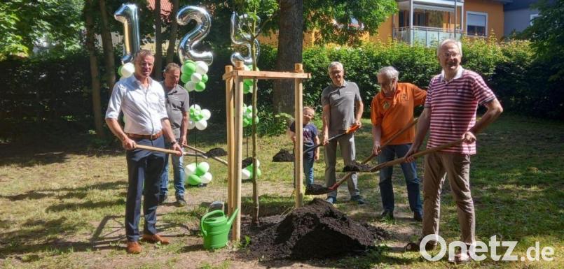 Bürgermeister Hermann Falk (links) pflanzt zusammen mit Mitglieder der Edelweiß-Schützen und Schützenmeister Günter Heidl (Dritter von rechts) einen Jubiläumsbaum. Bild: vt