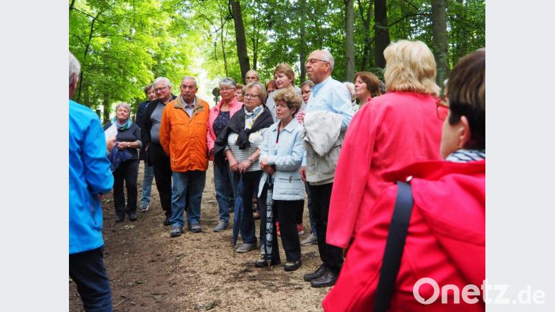 35 KABler aus den Kreisverbänden Amberg und Sulzbach-Rosenberg beteiligten sich an der geführten Wanderung über den Gemeinwohlwanderweg auf dem Mariahilfberg, um sich intensiv mit diesem zentralen Thema der Katholischen Arbeitnehmerbewegung auseinanderzusetzen. Bild: ads