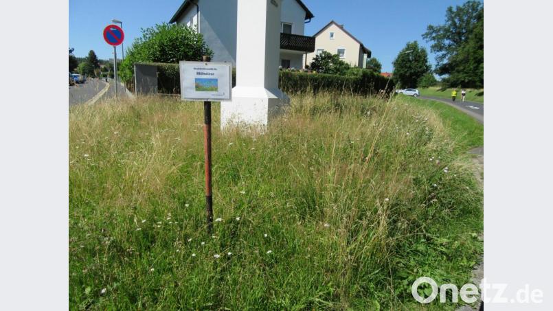 In der Stadt Waldsassen sind mehrere Blühflächen angelegt worden, die nicht mehr gemäht werden - wie etwa am Stationsweg an der Einmündung zur Gerwigstraße. Bild: kgg