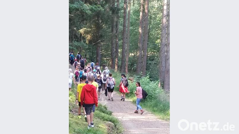 Die Wanderung im Waldnaabtal hat den Viertklässlern sehr gut gefallen. Bild: jzk