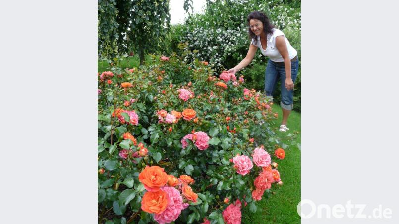Heidi Albang freut sich über die zauberhaften Blüten der wuchsfreudigen Rose &#039;Gebrüder Grimm&#039;. Bild: Portner