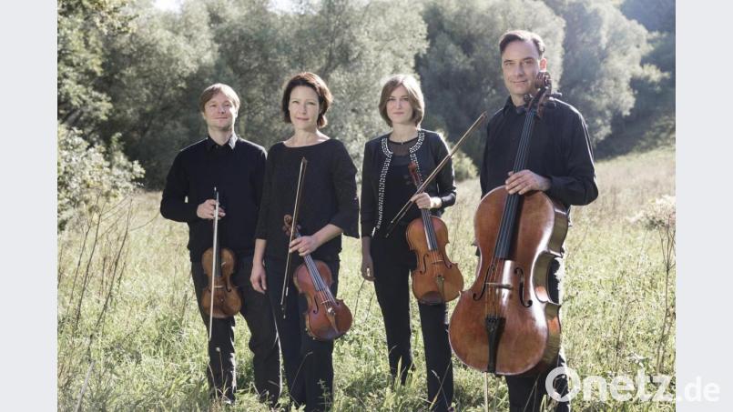 Das Diogenes Quartett wird zum &quot;Pre-Opening&quot; unter freiem Himmel am 13. August im Innenhof der Regionalbibliothek erwartet. Bild: Diogenes-Quartett.de/hfz