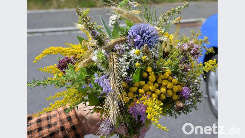 Traditionell werden noch heute im Vorfeld von Mariä Himmelfahrt in der katholischen Kirche eine bestimmte Anzahl an ausgewählten Heilkräutern sowie Getreideähren und wohlriechende Blumen in Gärten, an Wegrändern, Wiesen und Feldern gesammelt, zu Büschel gebunden und am Hochfest in den Messen in den Kirchen geweiht. Die Zusammenstellung der Kräuterbuschen variiert von Ort zu Ort ein wenig. Archivbild:  Petra Hartl