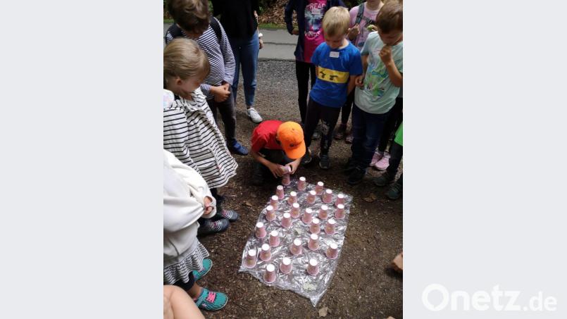 Beim Naturmemory. Bild: krb