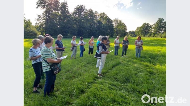 Die engagierten Frauen des Pfreimder Frauenbundes machten sich auf einem spirituellen Spaziergang, der unter dem Motto &quot;Mein Gott, wie schön ist die Welt&quot; stand. Bild: hir