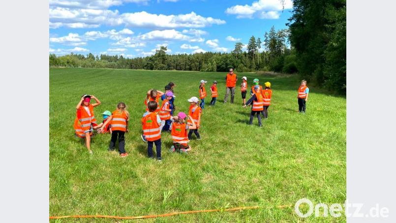 Nicht nur im Wald tummeln sich die Kinder mit Walderlebnis-Pädagogin Erika Grötsch (im Hintergrund) ei der ersten Veranstaltung im Ferienprogramm. sondern auch auf der grünen Wiese. Bild: fjo