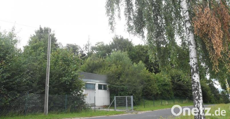 Viel Grün umgibt den bestehenden Wasserhochbehälter in Neustadt. Das soll auch beim geplanten Neubau so sein. Dennoch muss die Stadt für Ausgleichsflächen sorgen. Bild: Gabi Schönberger