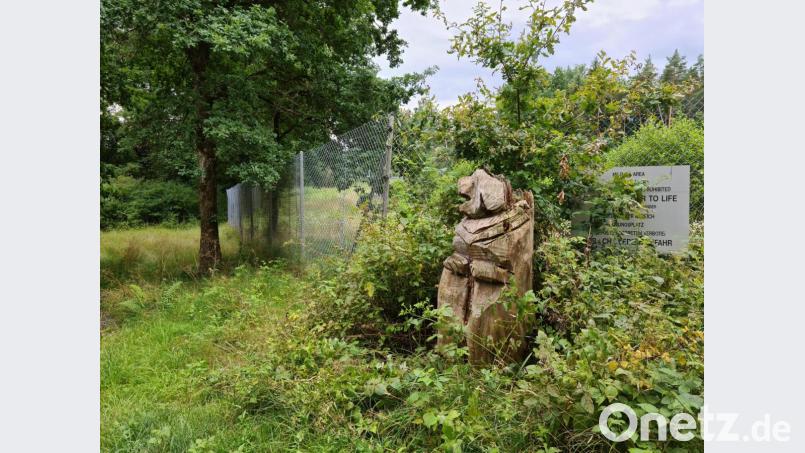 Die geschnitzte Holzfigur ziert das Ende der Thumbachstraße und den Beginn des Truppenübungsplatzes. Sie hat noch keine Ahnung über die Pläne des Bauausschusses über eine Verbindung zur Talstraße. Bild: sne