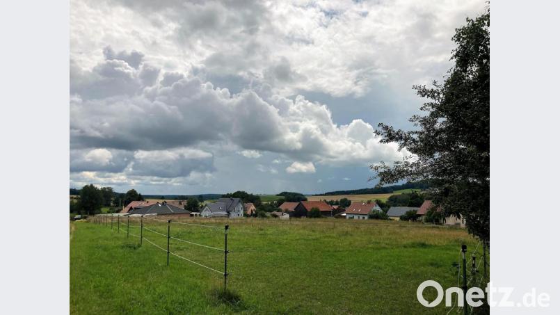Platz für zehn Bauparzellen bietet dieses Areal in Neusteinreuth. Bild: stg