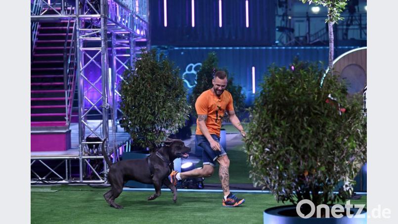 Hundefans aus der Region können am Freitag vor dem Fernseher Pünktchen und Florian Büttner die Daumen drücken. Bild: TVNOW / Markus Hertrich/exb