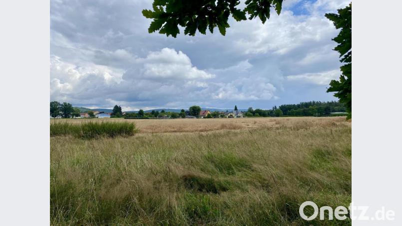 Blick vom Waldrand aus auf das geplante Gewerbegebiet „Sauernlohe“, in dem zum Teil auch urbanes Wohnen möglich sein wird. Bild: Eichl