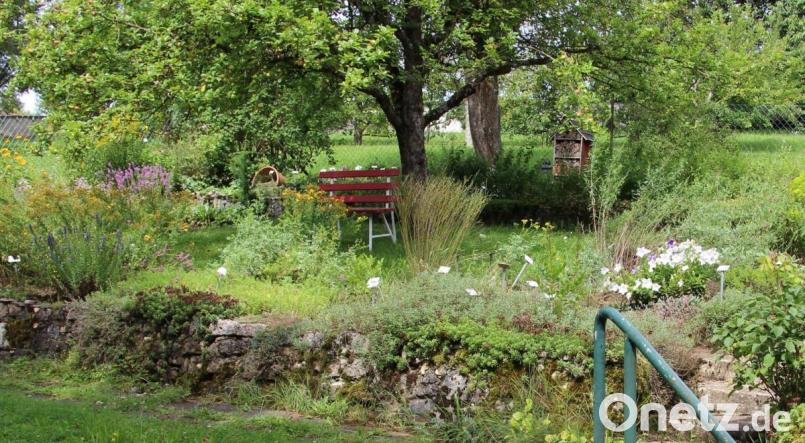 Viele Gäste lockt der Kräutergarten am Kirchenreinbacher Schloss an, der von Mitgliedern und Helfern des Gartenbauvereins Schmidtstadt und Umgebung gepflegt wird. Bild: ds