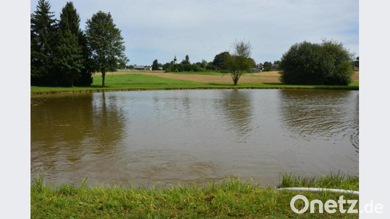 Eine herrliche Badelandschaft ist der Konnersreuther Badeweiher. Der ausgelaufene Teich wurde mit 3200 Kubikmeter Wasser in einer Gemeinschaftsleistung wieder bis an den Rand gefüllt. Bild: jr