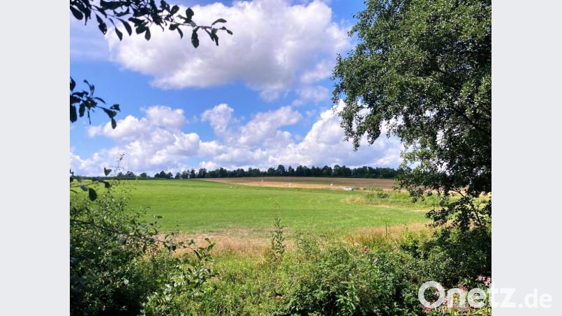 Grünes Licht gab der Kemnather Stadtrat für den Bauantrag des Landkreises zum Bau der neuen Realschule auf dieser Fläche. Bild: stg