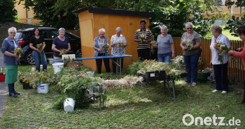 Der Katholische Frauenbund Wiesau fertigte die Kräuterbüschel neben dem Pfarrgarten. Unterstützt wurden die fleißigen Damen um Vorsitzende Brigitte Weig (Fünfte von links) am Dienstag von Pfarrvikar Pater Charles John. Der Geistliche wohnt gleich nebenan im Pfarrzentrum St. Michael. Bild: wro