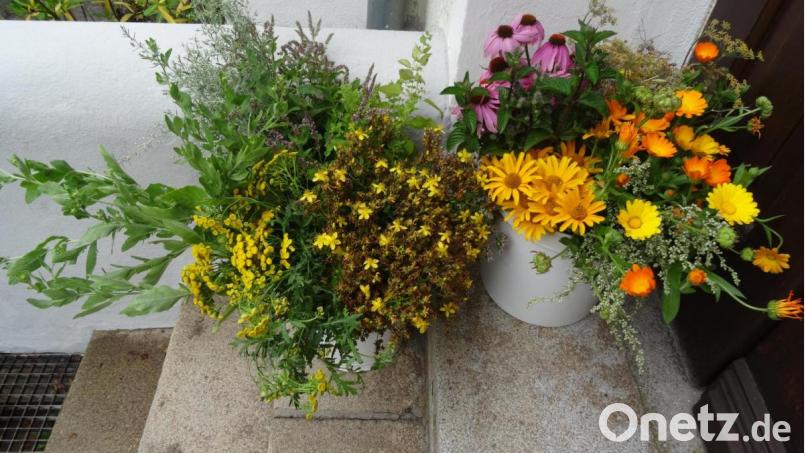 Aus Kräutern und Blumen durften die Teilnehmer der Kreativwerkstatt Kräuterbuschen binden. Bild: hka